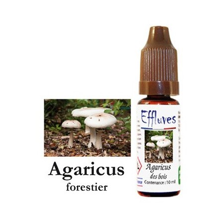 agaricus liquido fungo